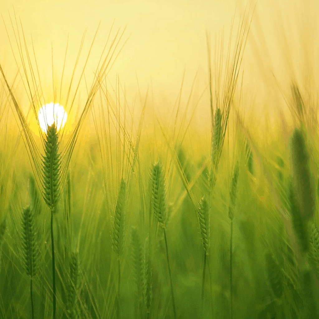 farm diversification ideas uk